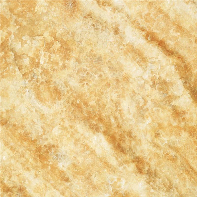 V-HC8802亚历山大